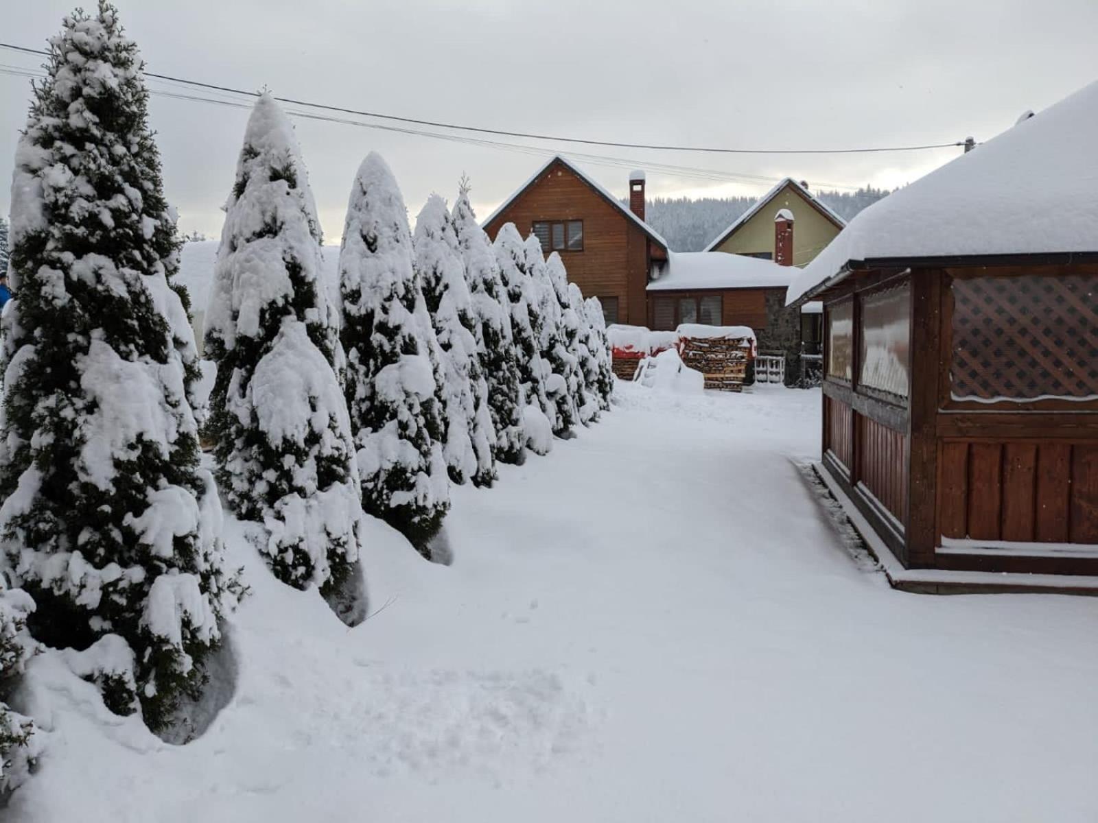 Aura Karpat Hotel Bukovel Kültér fotó