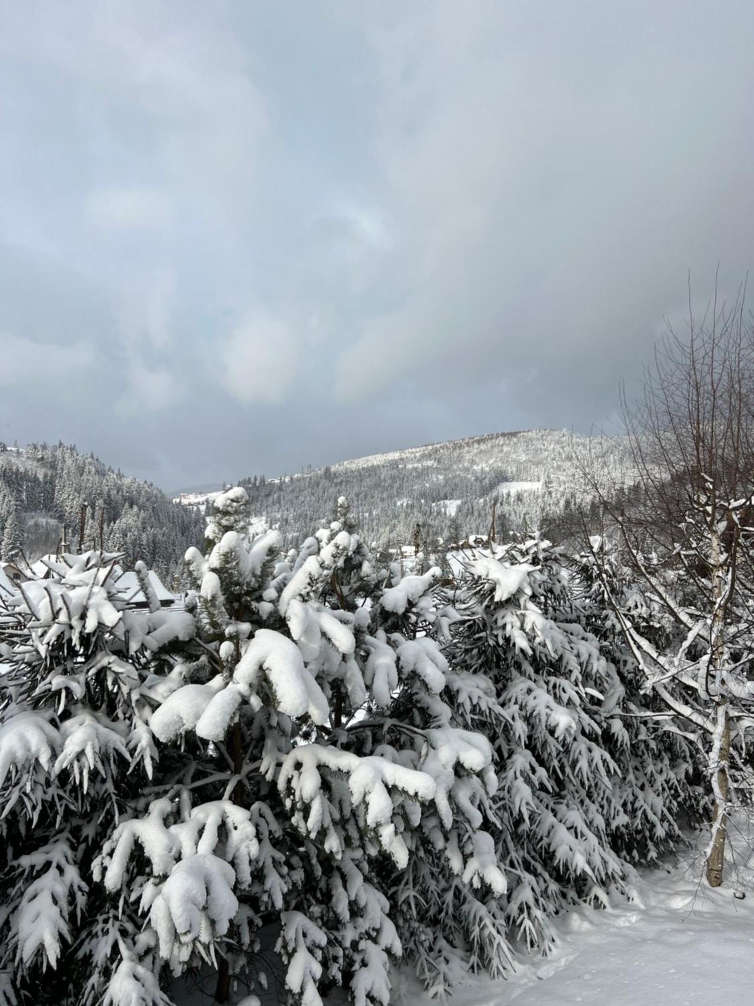Aura Karpat Hotel Bukovel Kültér fotó