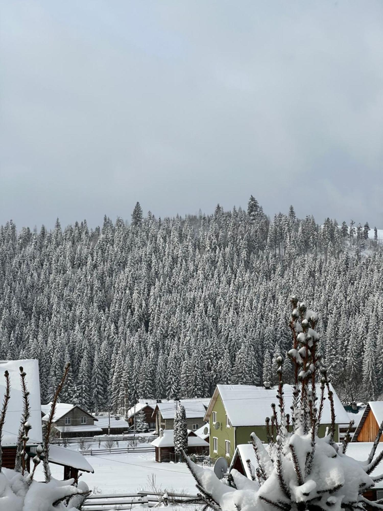Aura Karpat Hotel Bukovel Kültér fotó