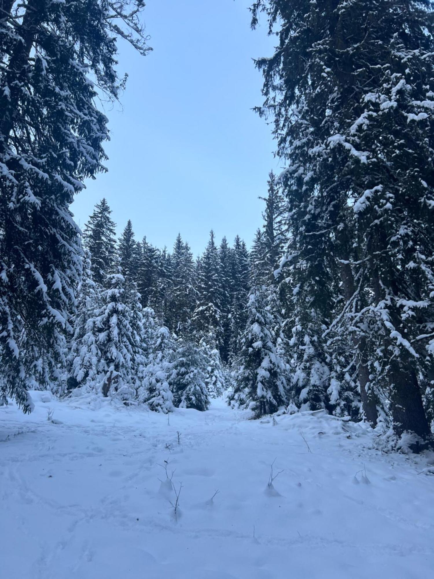 Aura Karpat Hotel Bukovel Kültér fotó